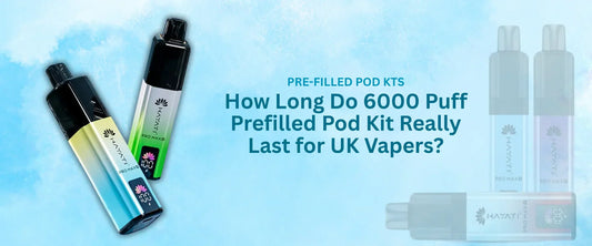 hayati pro max plus 6000 box of 5