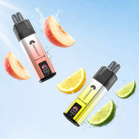 Hayati Pro Max Plus 4000 Prefilled Vape Kit Box of 5 wholesale