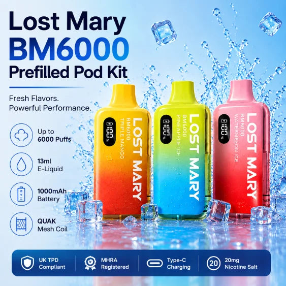 lost  mary bm6k feactures