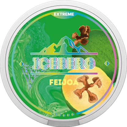 Iceberg Snus 16gr 150mg Pouches - Pack of 10 - Feijoa - vapeukwholesale